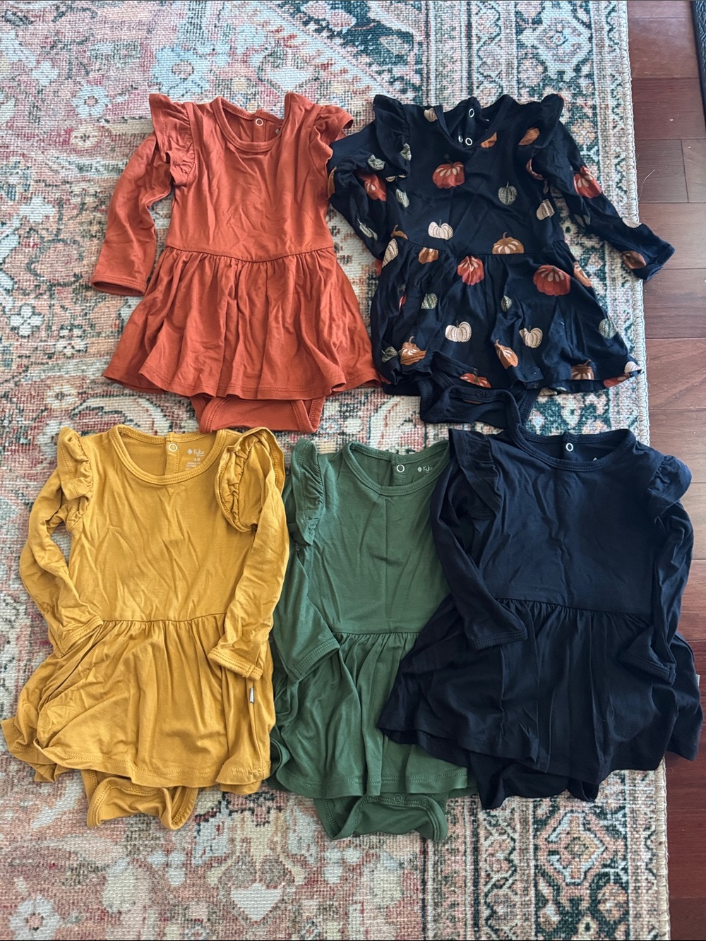 Kyte Baby 5 Long Sleeve Dress Bundle